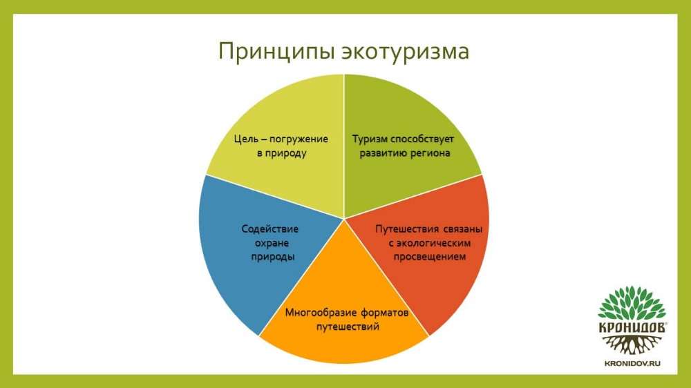 Экологический туризм: принципы, виды и преимущества