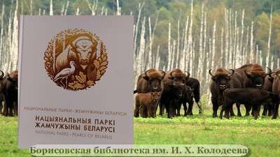 Национальные парки Беларуси: жемчужины экологического туризма