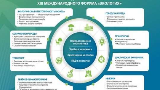Возможности и вызовы бизнеса экологического туризма
